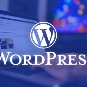 wordpress2 Business